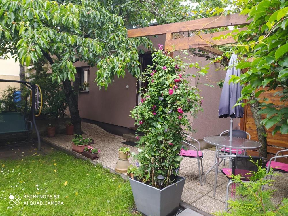 Apartment Garden Ceske Budejovice Exterior photo